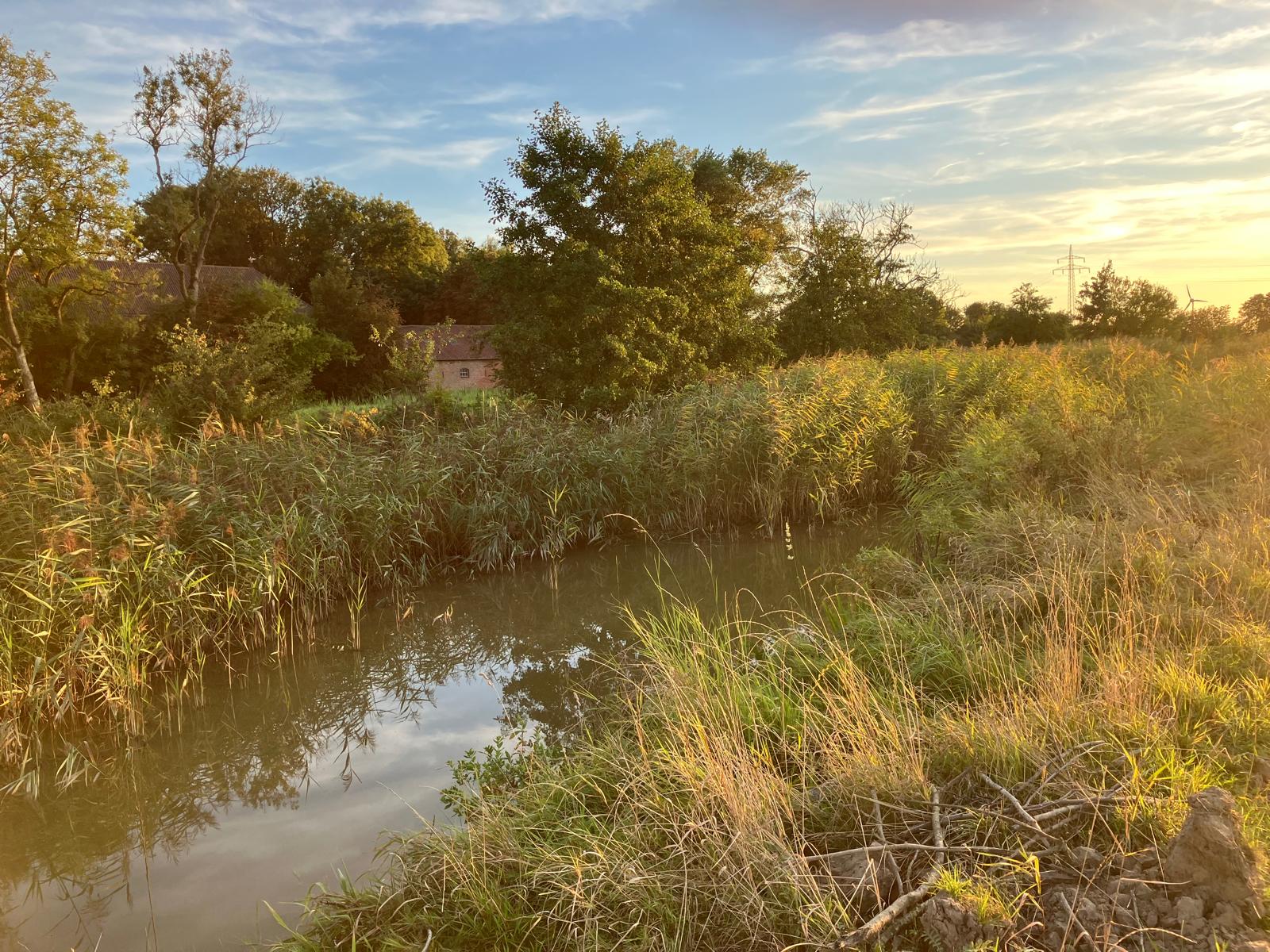 Blick von Norden über den Fischteich auf den Gulfhof, Foto: Frauke Agena